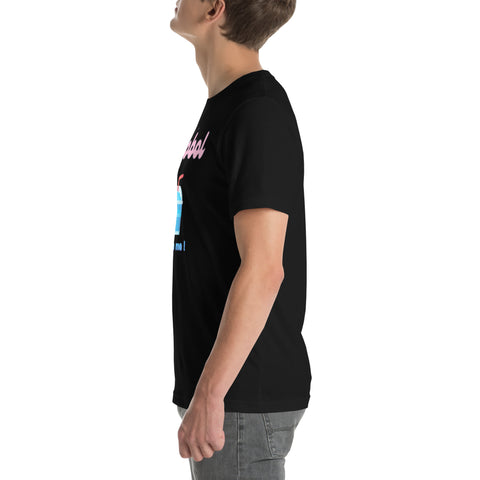 Image of T-shirt unisexe