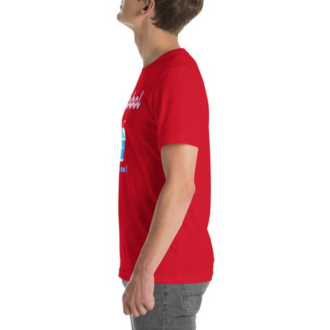 Image of T-shirt unisexe